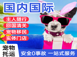 永州空运国际宠物托运 【国